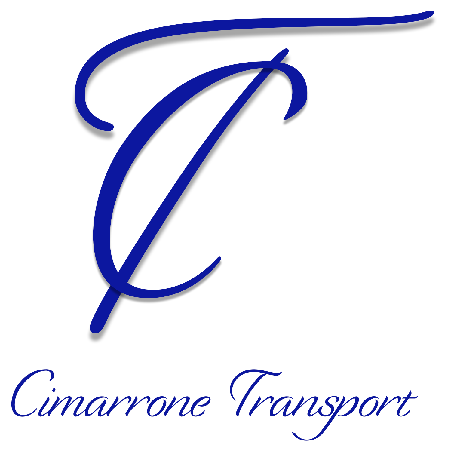 ctlogo